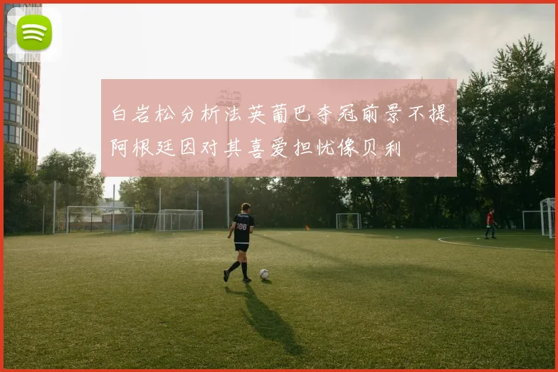 白岩松分析法英葡巴夺冠前景不提阿根廷因对其喜爱担忧像贝利